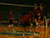Sorry for blur picure. Digital camera is not good for taking such scene.
